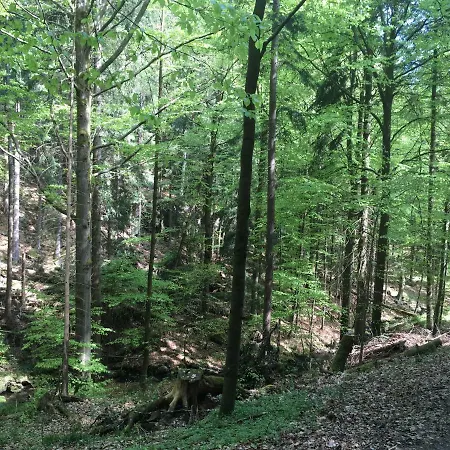 Lejlighed Paul Schwarzenberg (Saxony)