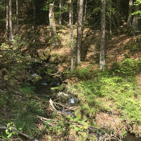 Paul Schwarzenberg (Saxony)