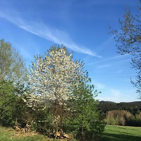 Paul * Schwarzenberg (Saxony)